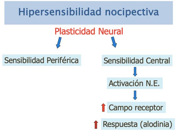 Hipersensibilidad nociceptiva.