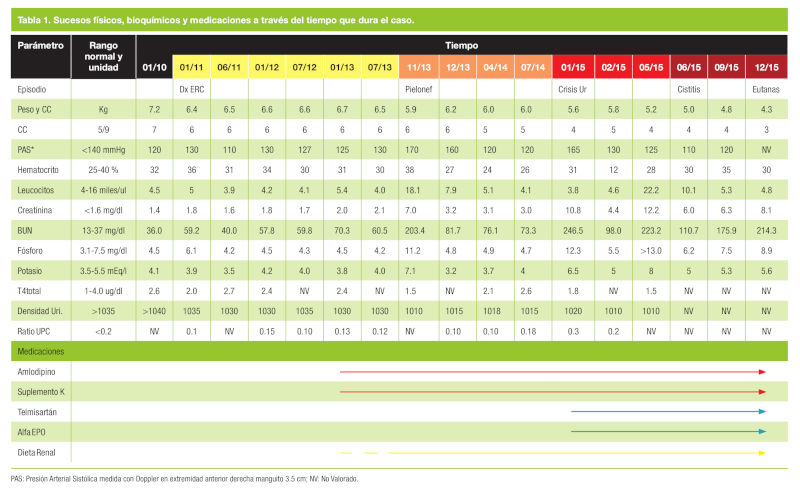 Tabla 1: Sucesos físicos, bioquímicos y medicaciones a través del tiempo que dura el caso