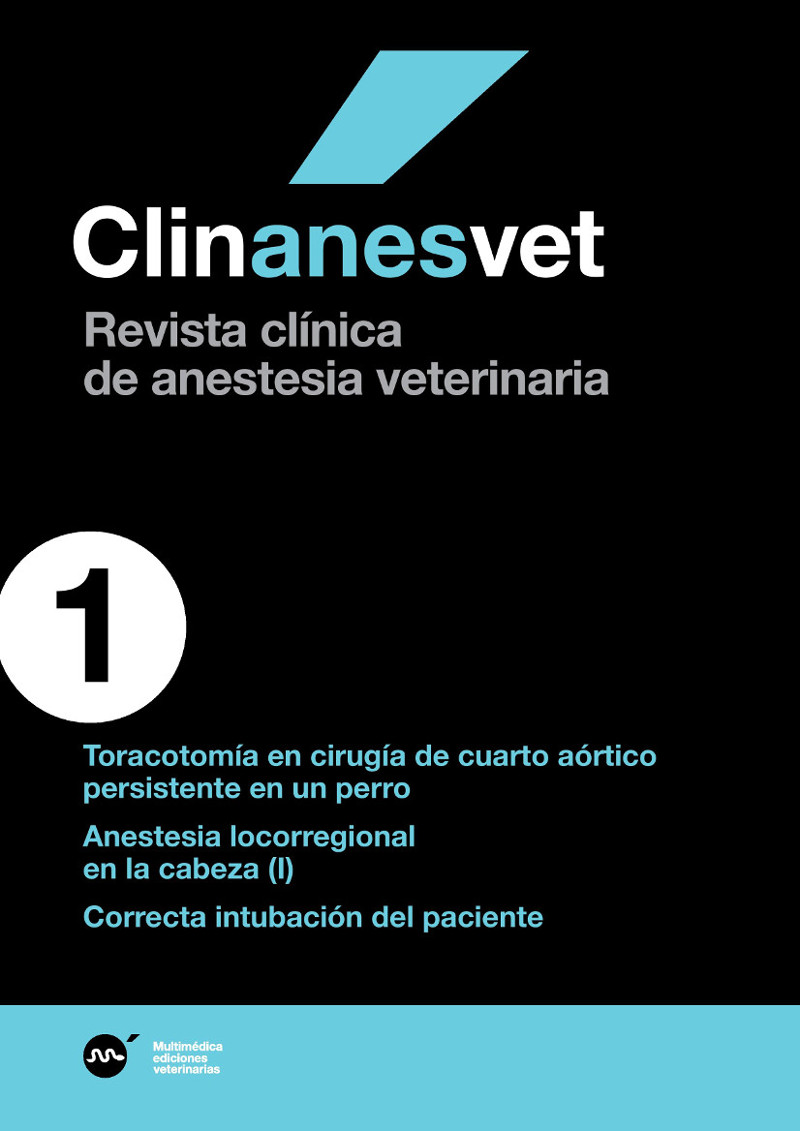 anes1.jpg