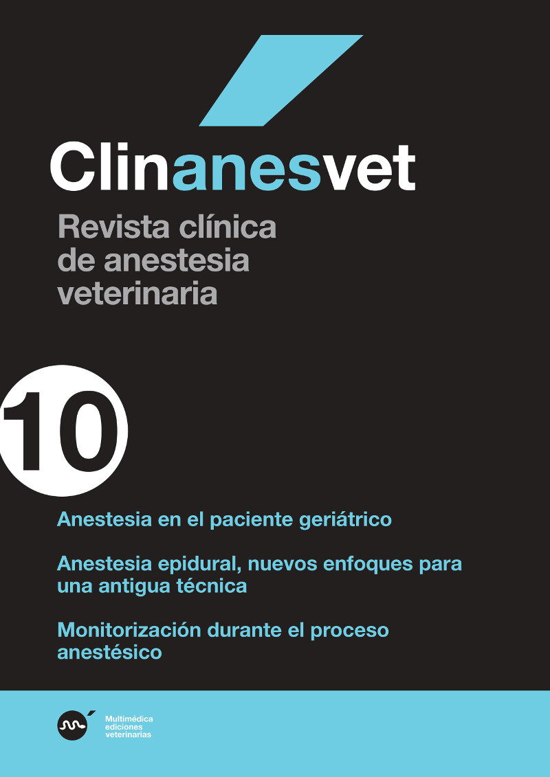 anes10.jpg