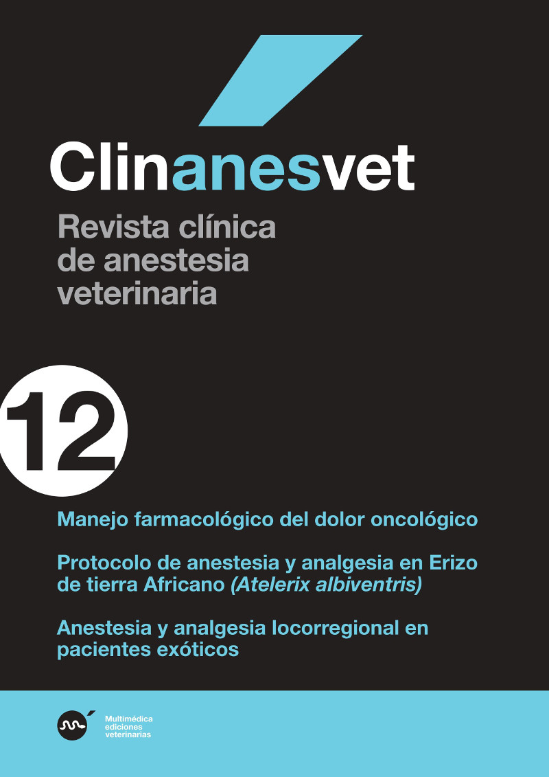 anes12.jpg