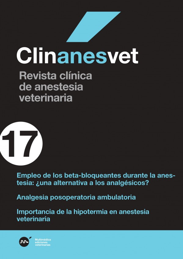 anes17.jpg