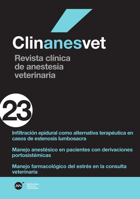 anes23.jpg