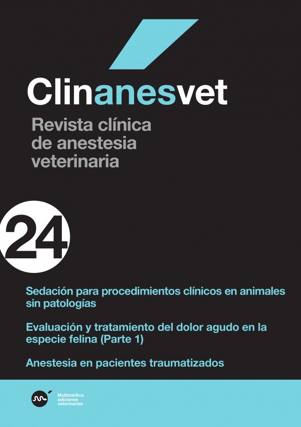 anes24.jpg