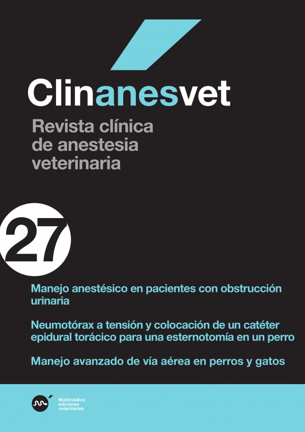 anes27.jpg