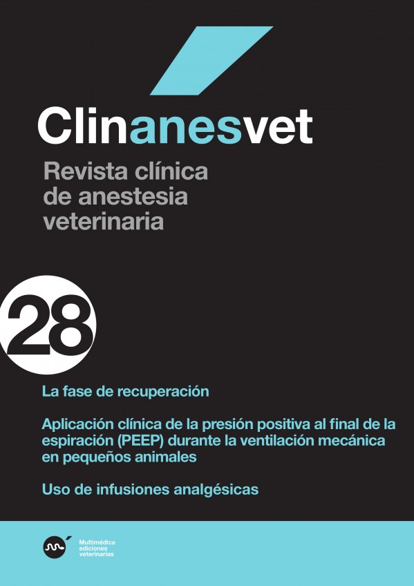 anes28.jpg