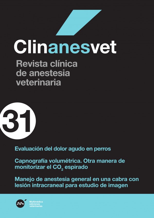 anes31.jpg
