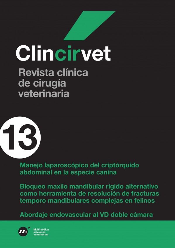 cir13.jpg