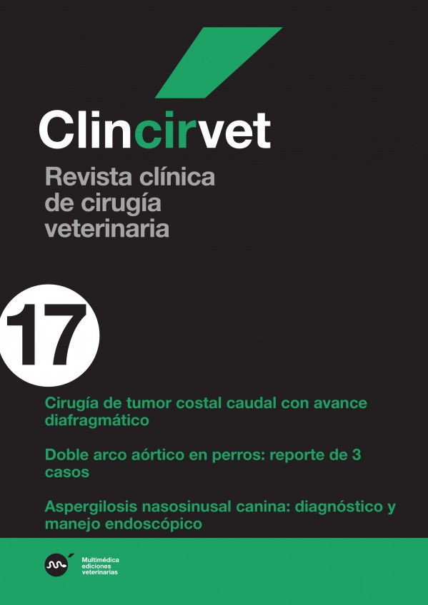 cir17.jpg