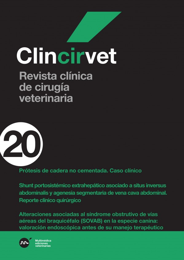 cir20.jpg