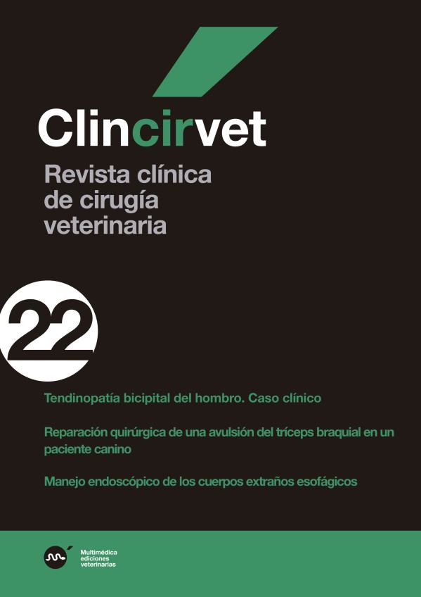 cir22.jpg