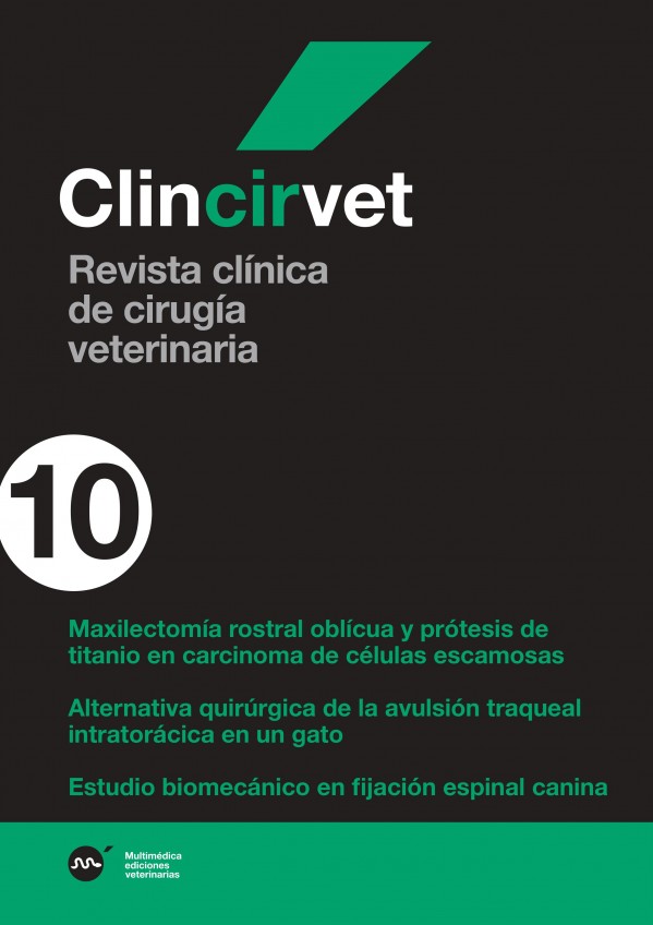 ciru10.jpg