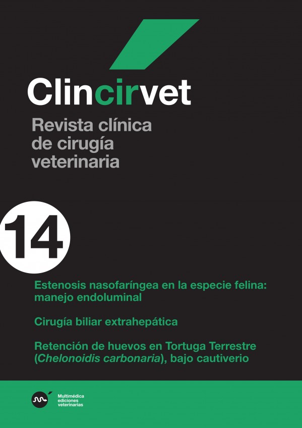 ciru14.jpg