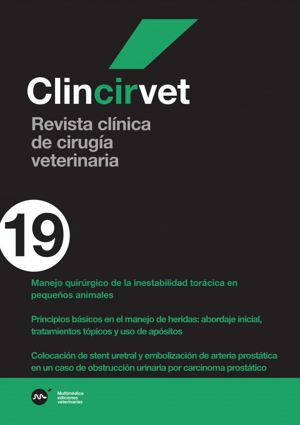 ciru19.jpg