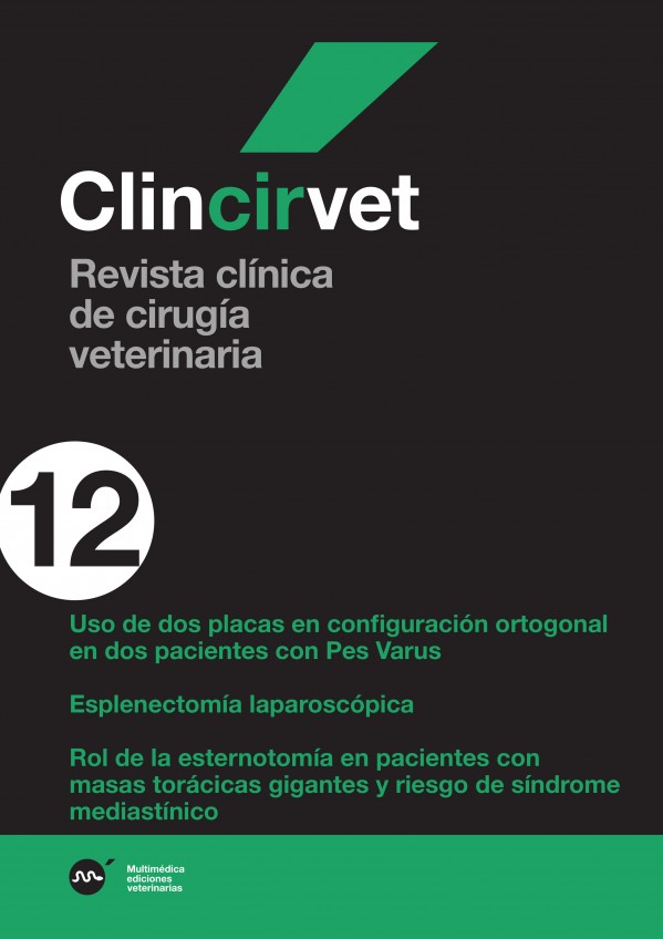 cirvet12.jpg