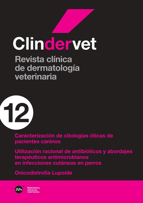 derma12.jpg