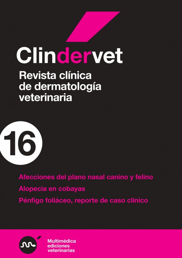 derma16.jpg