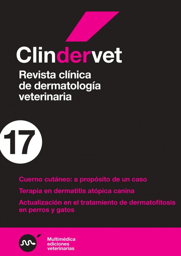 derma17.jpg