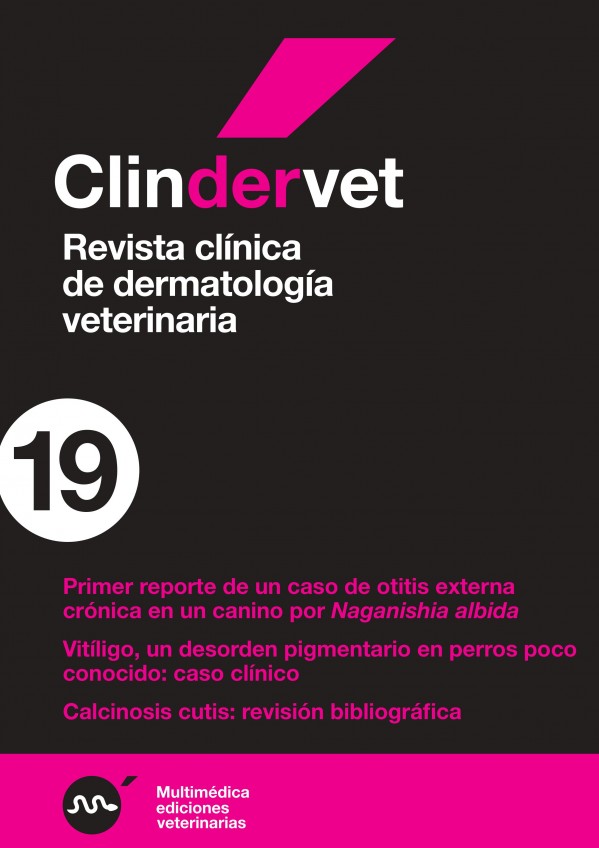 derma19.jpg