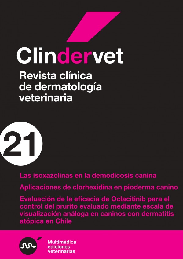 derma21.jpg