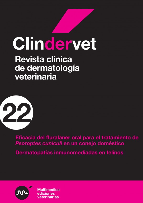derma22.jpg