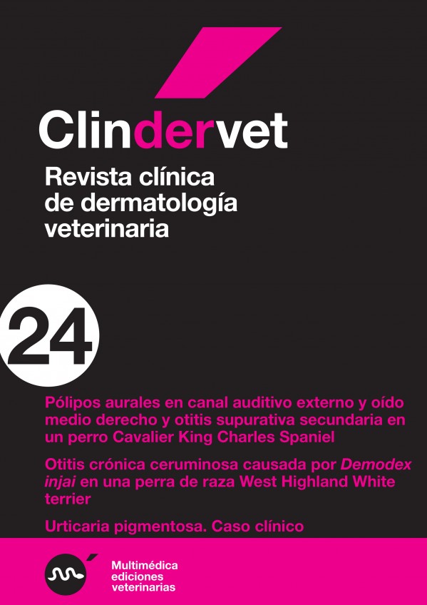 derma24.jpg