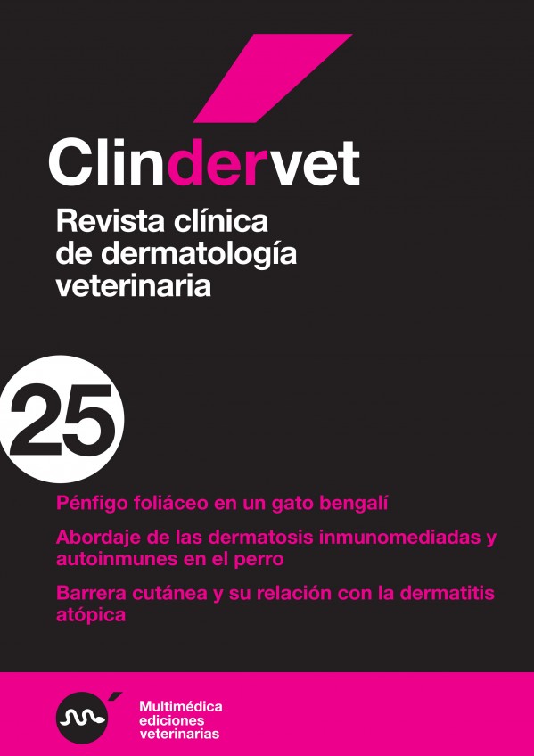 derma25.jpg