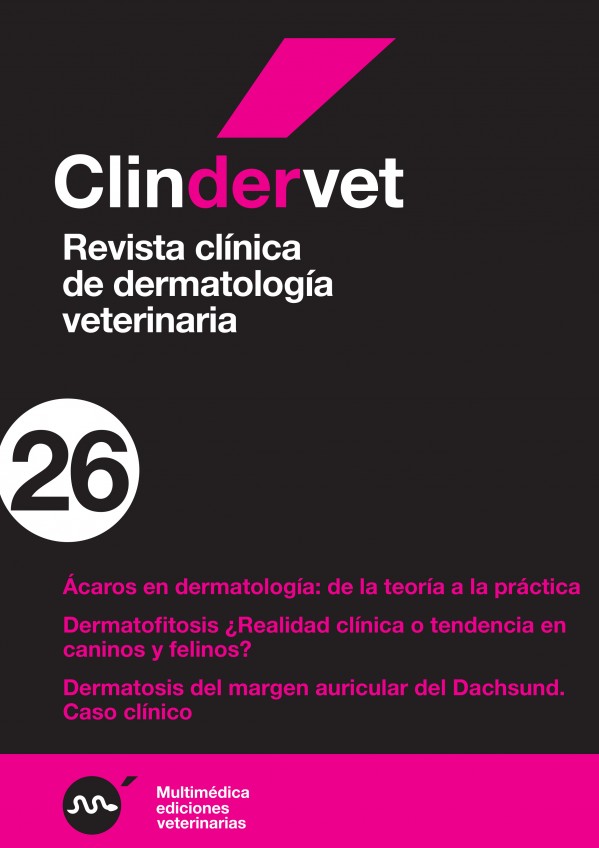 derma26.jpg