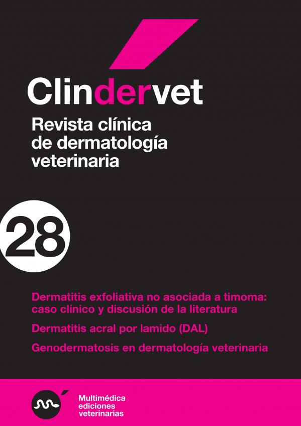 derma28.jpg