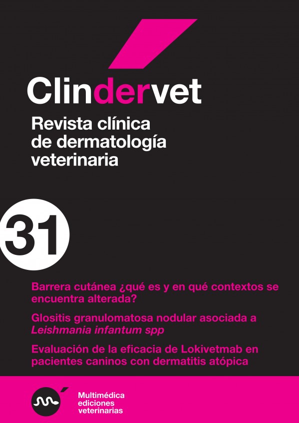 derma31.jpg