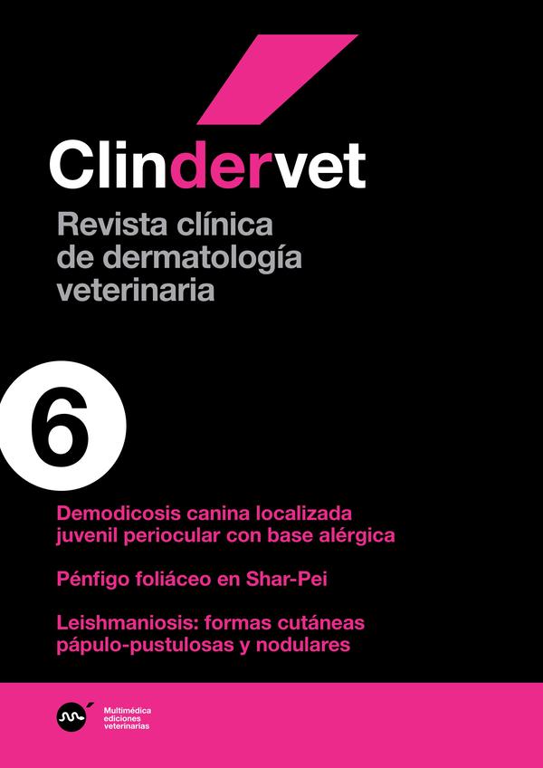 derma6.jpg