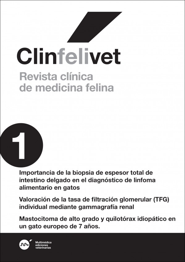 feli1.jpg
