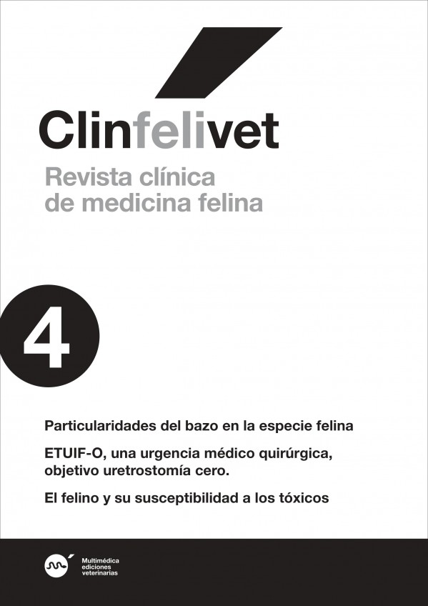 feli4.jpg