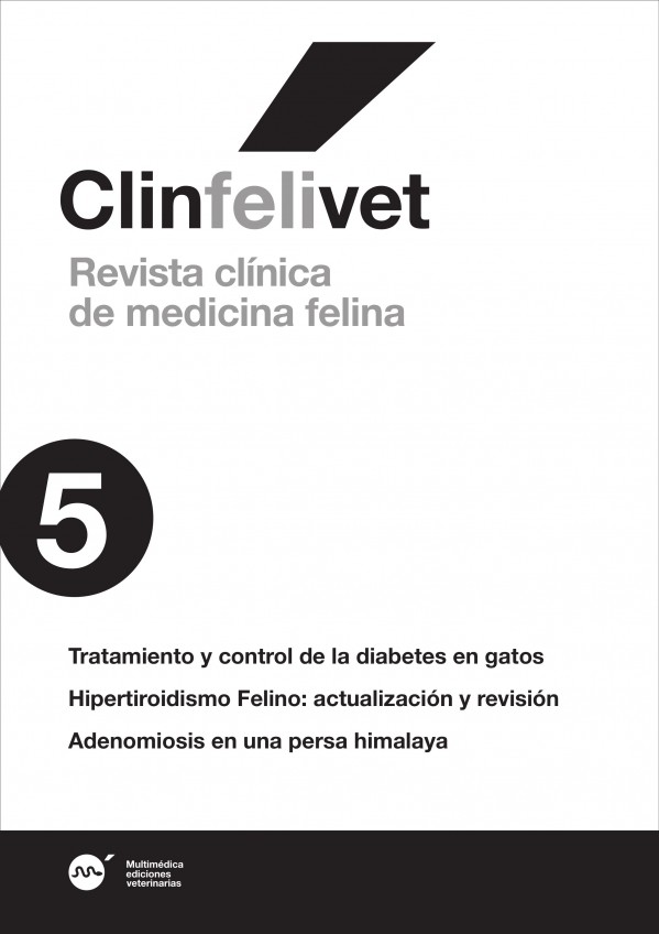 feli5.jpg
