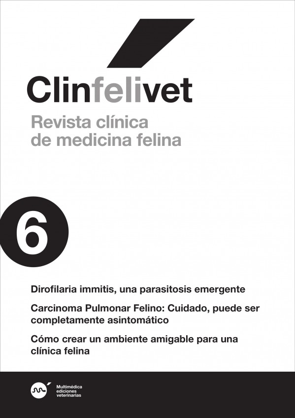 feli6.jpg
