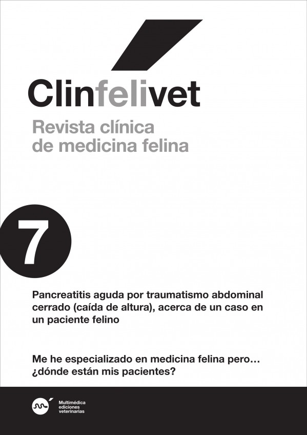 feli7.jpg